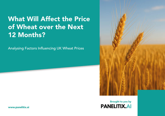Wheat Commodity Report